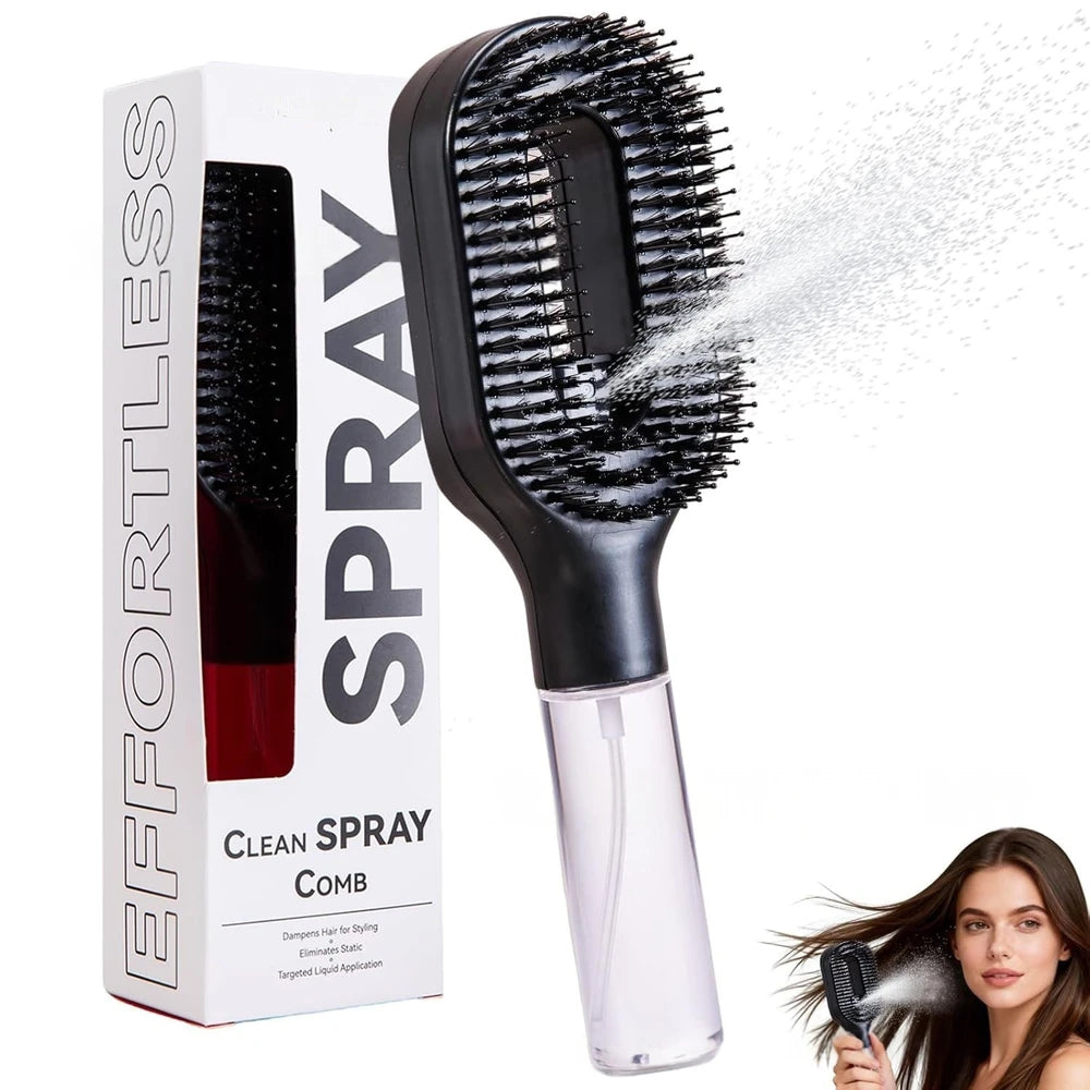 2-in-1 Steam Hair Brush