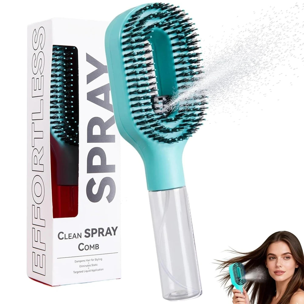2-in-1 Steam Hair Brush